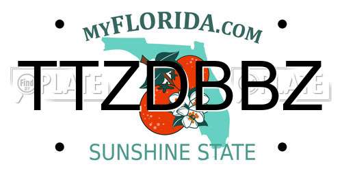 TTZDBBZ Florida License Plate