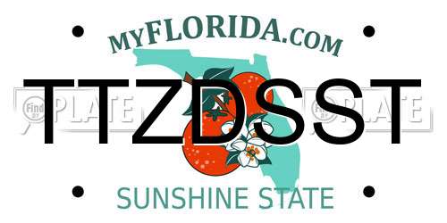 TTZDSST Florida License Plate