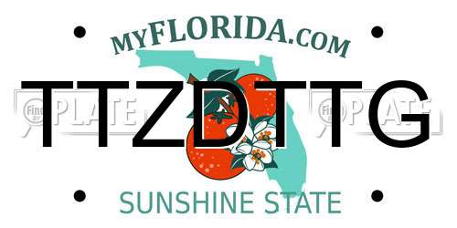 TTZDTTG Florida License Plate