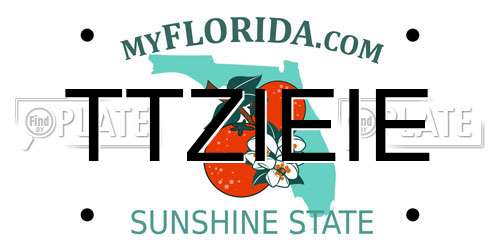 TTZIEIE Florida License Plate