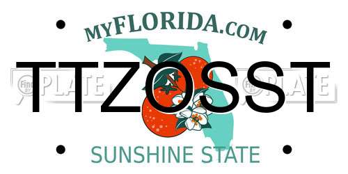 TTZOSST Florida License Plate
