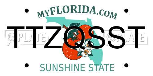 TTZQSST Florida License Plate