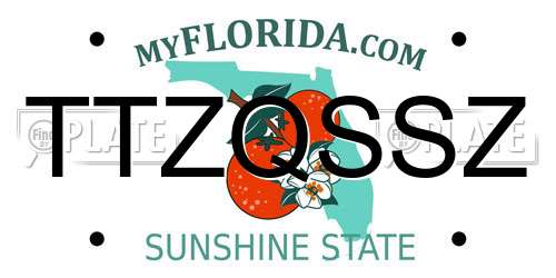 TTZQSSZ Florida License Plate