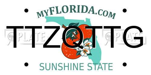 TTZQTTG Florida License Plate