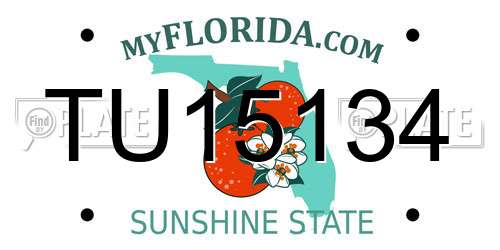 TU15134 Florida License Plate