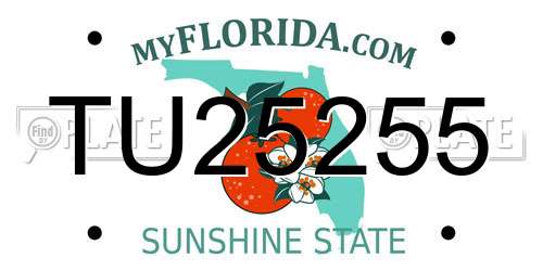 TU25255 Florida License Plate
