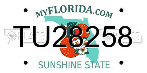 TU28258 Florida License Plate
