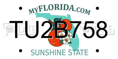 TU2B758 Florida License Plate