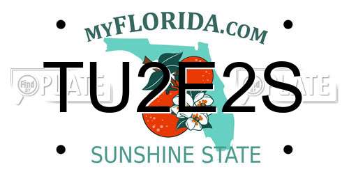 TU2E2S Florida License Plate