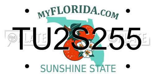 TU2S255 Florida License Plate