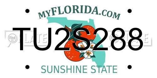 TU2S288 Florida License Plate