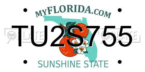 TU2S755 Florida License Plate