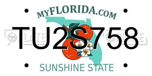 TU2S758 Florida License Plate