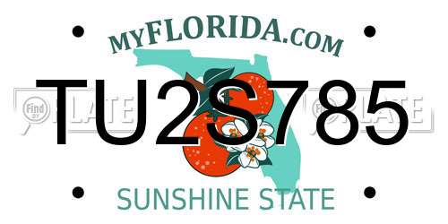 TU2S785 Florida License Plate