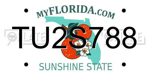 TU2S788 Florida License Plate