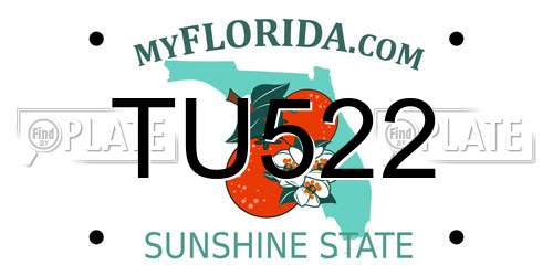 TU522 Florida License Plate
