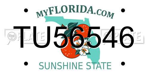 TU56546 Florida License Plate