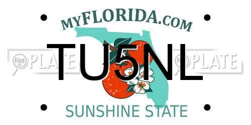 TU5NL Florida License Plate