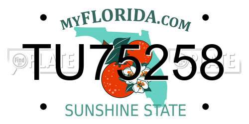 TU75258 Florida License Plate