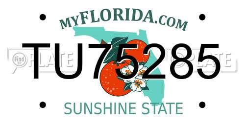 TU75285 Florida License Plate