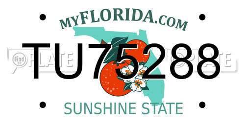 TU75288 Florida License Plate