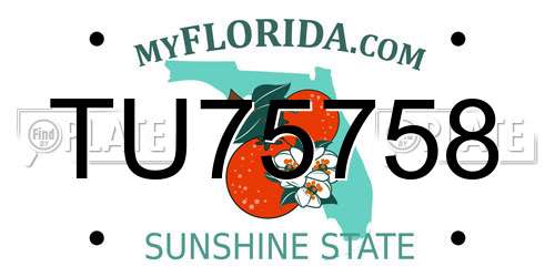 TU75758 Florida License Plate