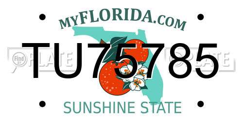 TU75785 Florida License Plate