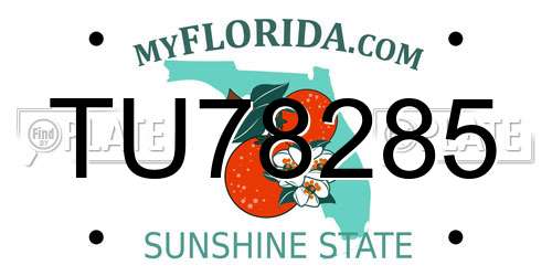 TU78285 Florida License Plate