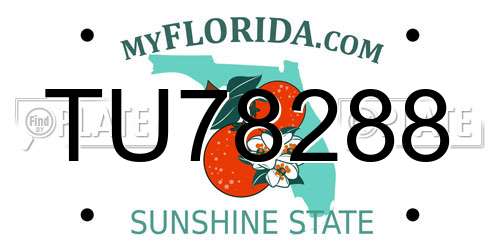 TU78288 Florida License Plate