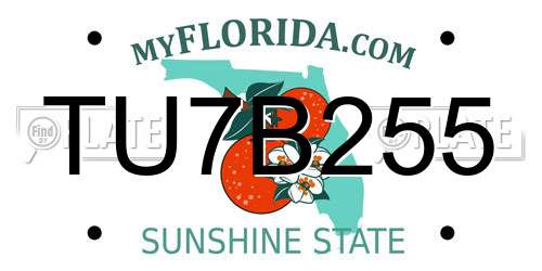 TU7B255 Florida License Plate
