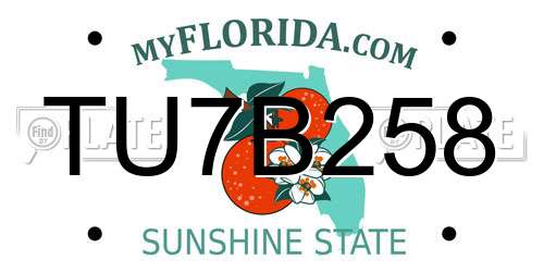 TU7B258 Florida License Plate