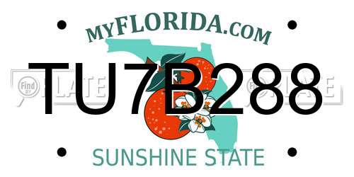 TU7B288 Florida License Plate