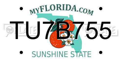TU7B755 Florida License Plate