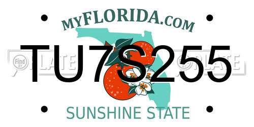 TU7S255 Florida License Plate