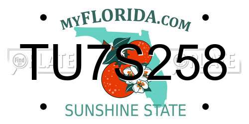 TU7S258 Florida License Plate