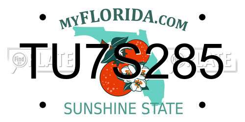 TU7S285 Florida License Plate