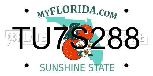 TU7S288 Florida License Plate