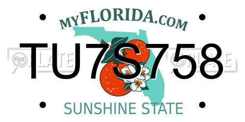 TU7S758 Florida License Plate