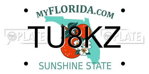 TU8KZ Florida License Plate