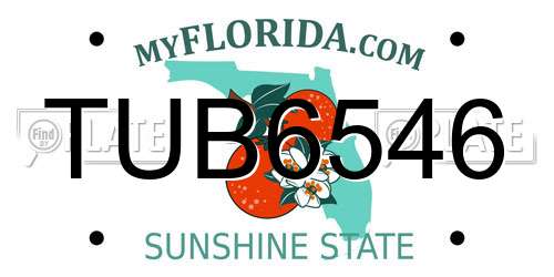 TUB6546 Florida License Plate