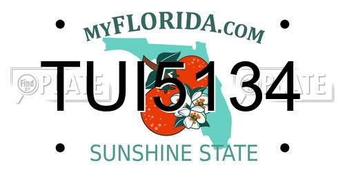 TUI5134 Florida License Plate