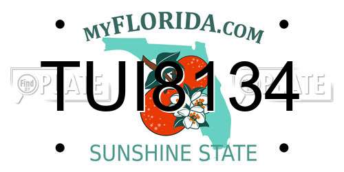 TUI8134 Florida License Plate