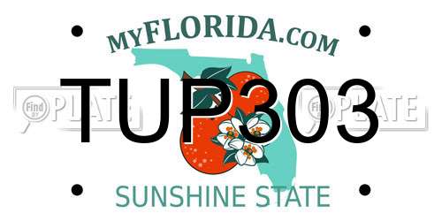 TUP303 Florida License Plate