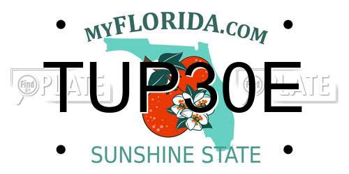TUP30E Florida License Plate
