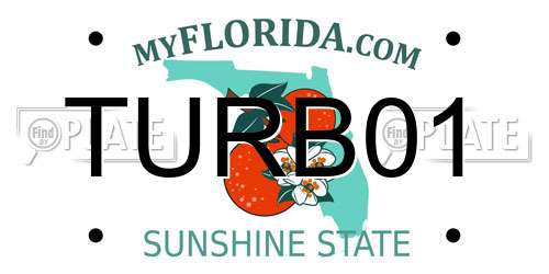 TURB01 Florida License Plate