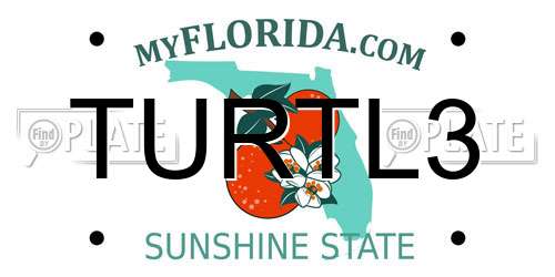 TURTL3 Florida License Plate