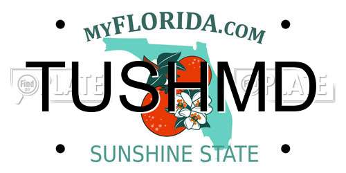 TUSHMD Florida License Plate