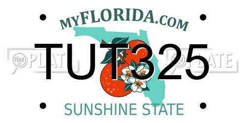 TUT325 Florida License Plate