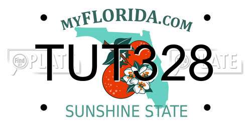 TUT328 Florida License Plate