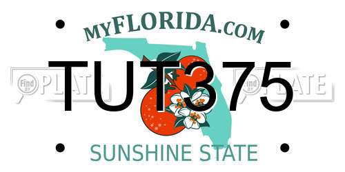 TUT375 Florida License Plate
